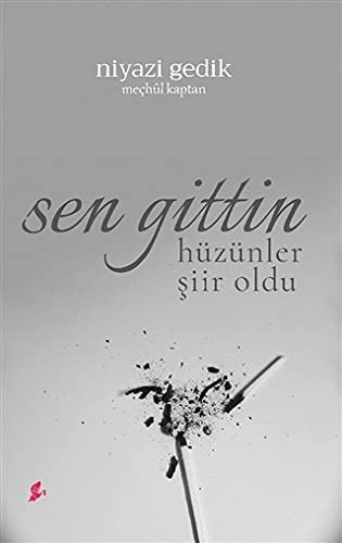 SEN GİTTİN HÜZÜNLER ŞİİR OLDU