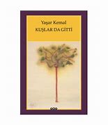 kuşlar da gitti  